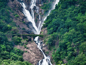 জুন মাহৰ পৰা জীপ যোগে গোৱাৰ দুধসাগৰ জলপ্ৰপাতলৈ যাত্ৰা নিষিদ্ধ কৰা হব।