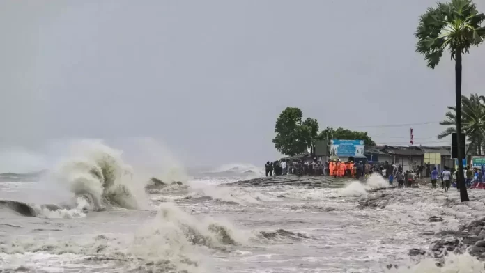 বাংলাদেশত ৰেমাল ঘূৰ্ণীবতাহত মৃত অৱস্থাত উদ্ধাৰ কেইবাশ জীৱ-জন্তু।