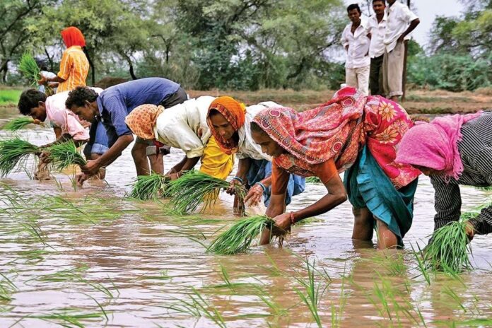 ভাৰতত সামগ্ৰিক বৰষুণৰ পৰিমাণ সুস্থ ৮ শতাংশ বৃদ্ধি, মুদ্ৰাস্ফীতিৰ দৃষ্টিভংগীৰ বাবে ইতিবাচক।