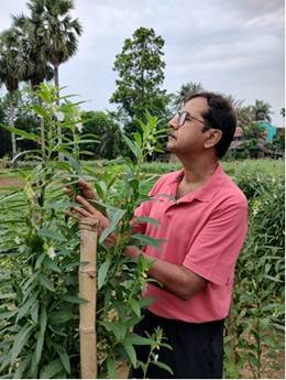 ভাৰতীয় গৱেষকসকলে তিল ফুলক উদ্ভিদ অৱস্থালৈ ঘূৰাই অনা নতুন অণুজীৱৰ সন্ধান পাইছে।